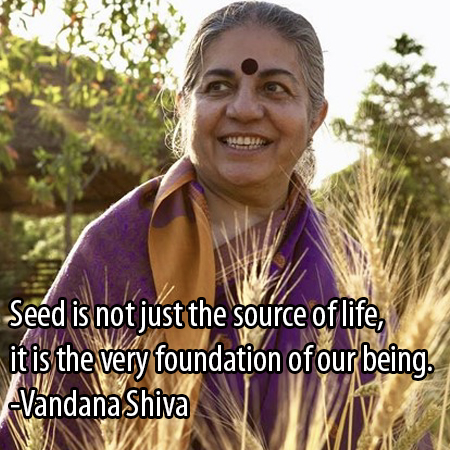 seeds quote