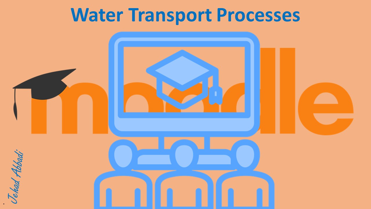 water transport processes