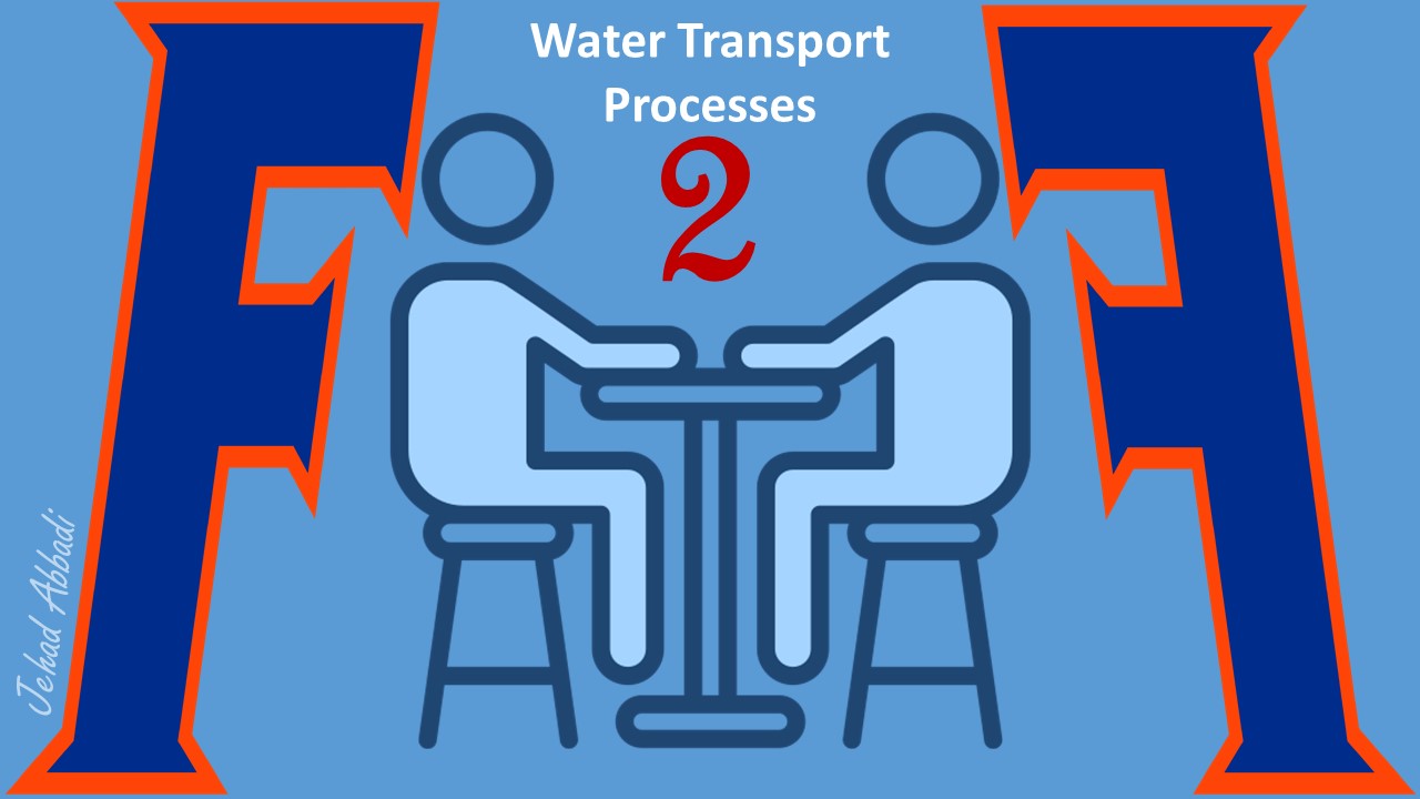 In Class Activities: Water Transport Processes
