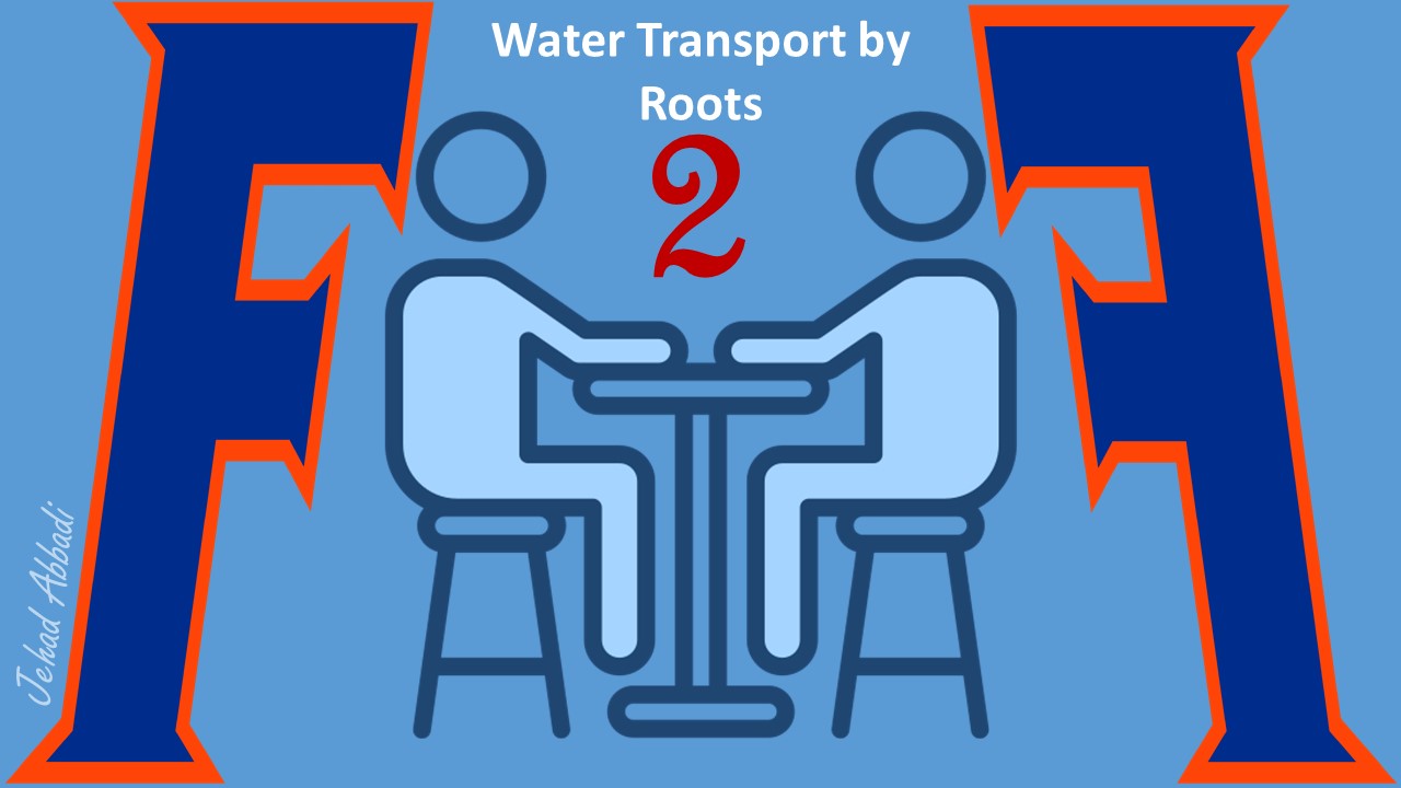 Water transport by roots