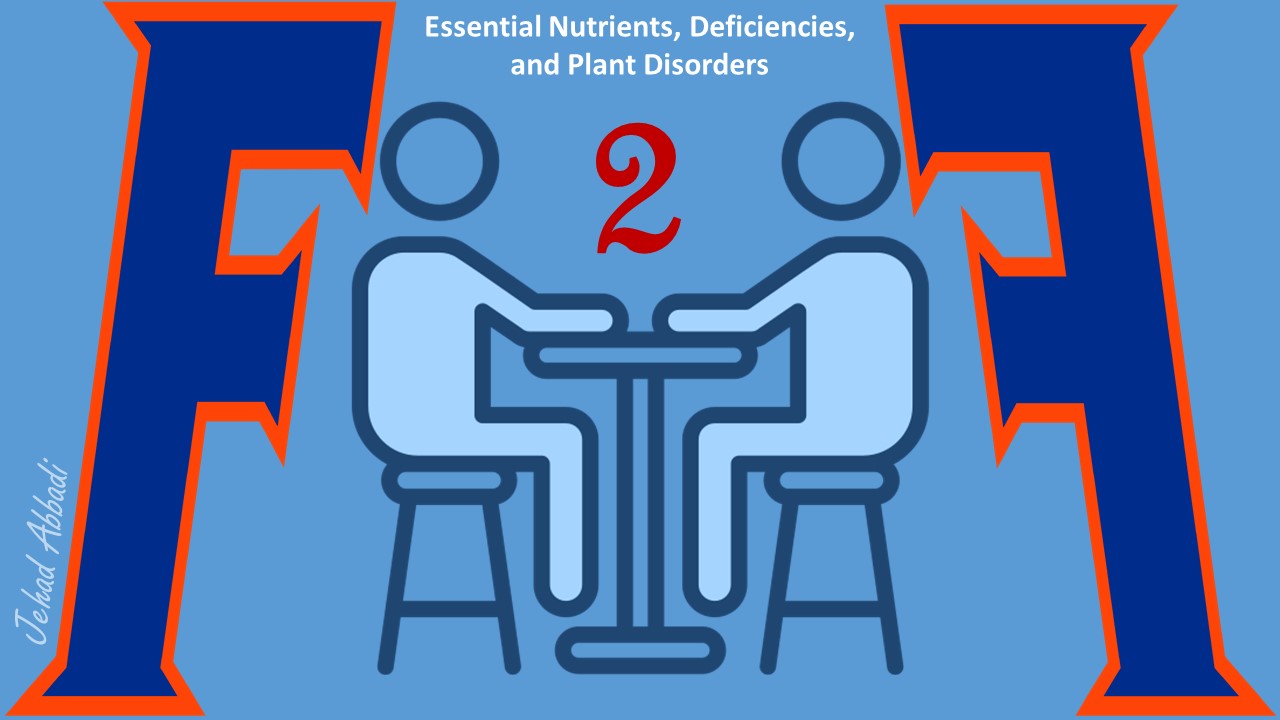 Essential Nutrients, Deficiencies, and Plant Disorders